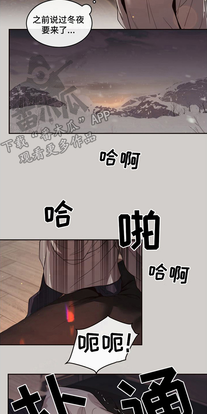 第19章：北极兔：忙碌13