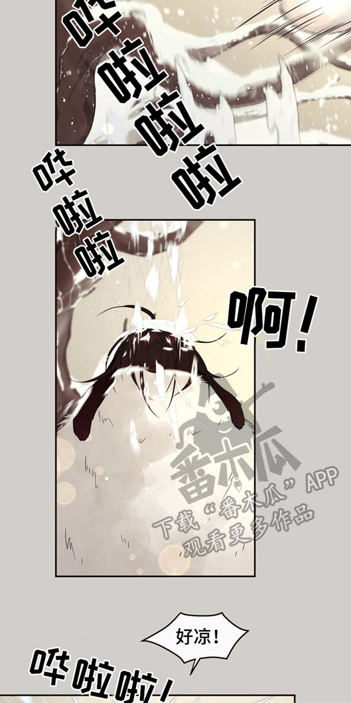 第18章：北极兔：选择权1