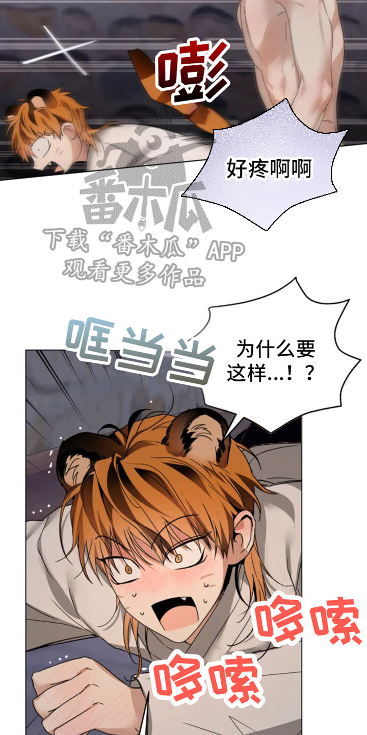 第38章：乱入的老虎：很可怕7