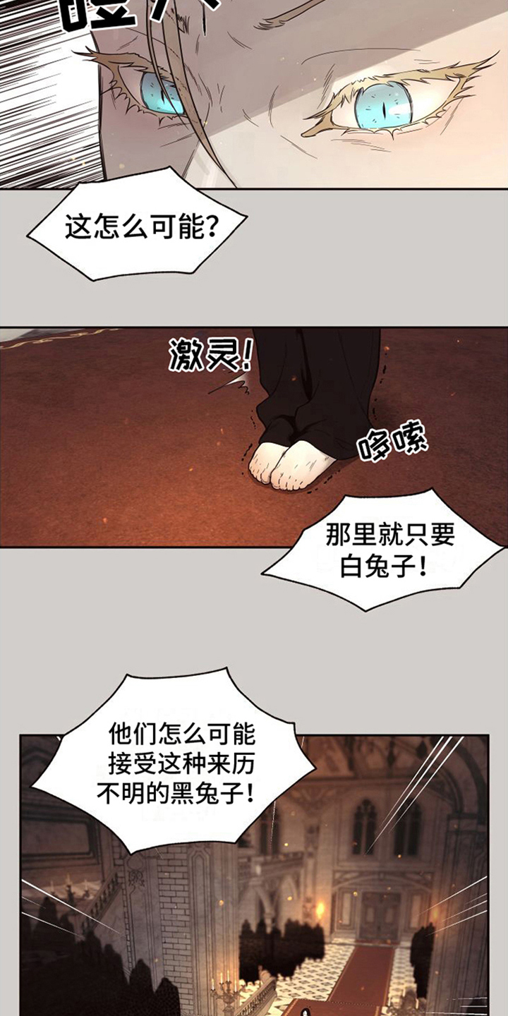 第15章：北极兔：雪国12