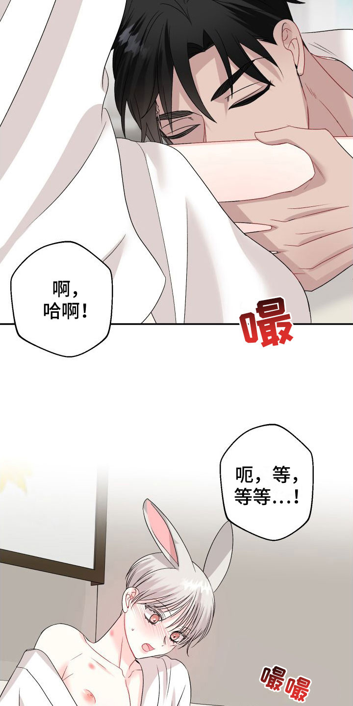 第33章：订婚骗局：再来一次21