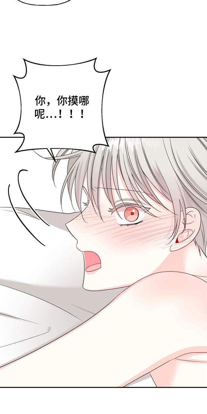 第29章：订婚骗局： 愤怒19