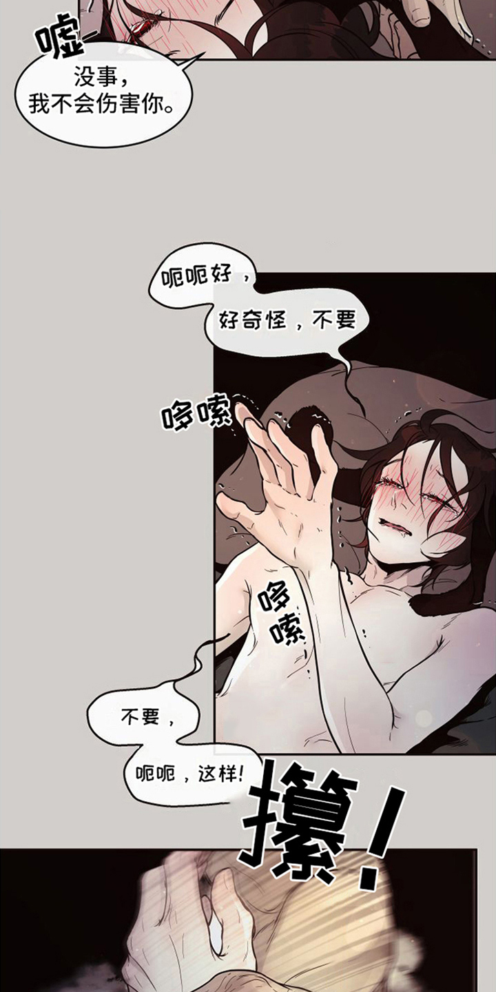 第19章：北极兔：忙碌5