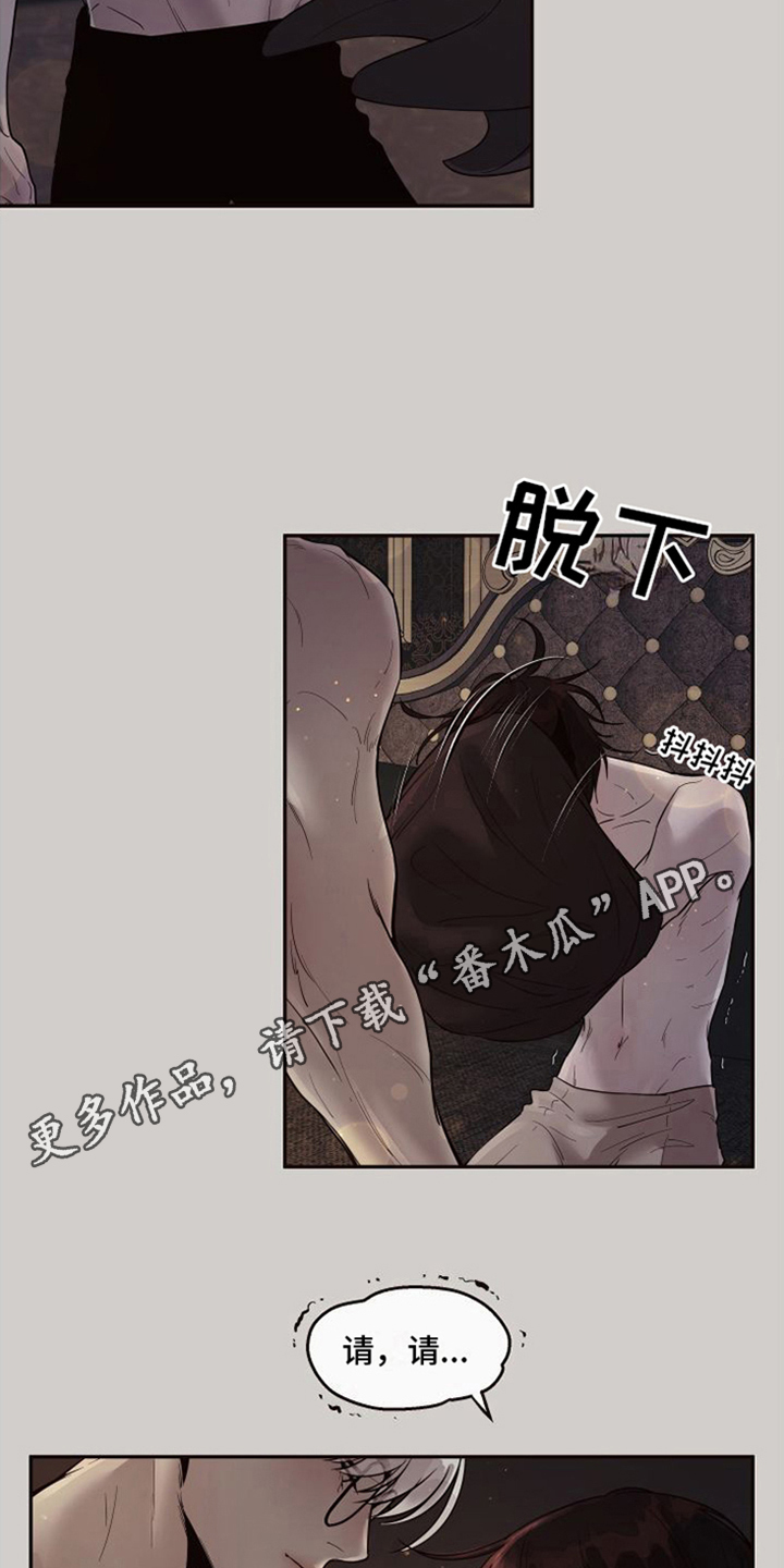 第18章：北极兔：选择权13