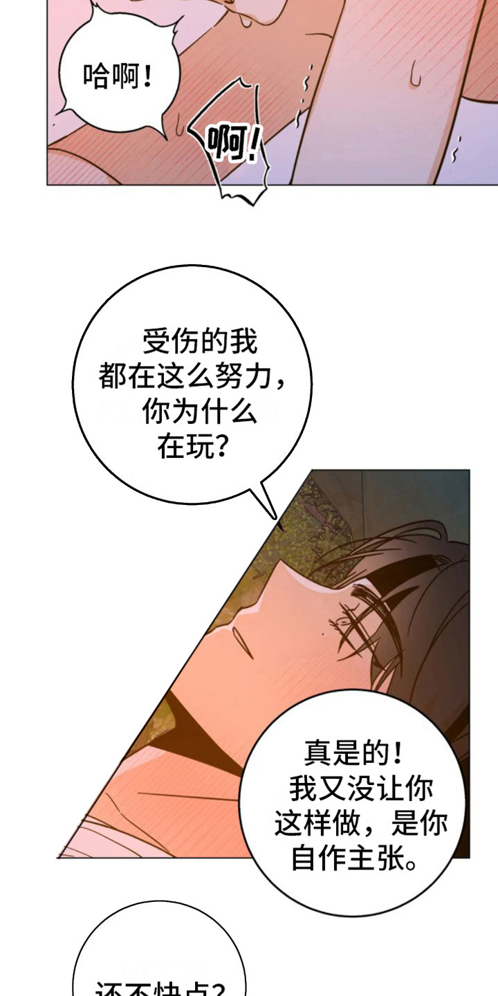 第46章：乱入的老虎：笨蛋15