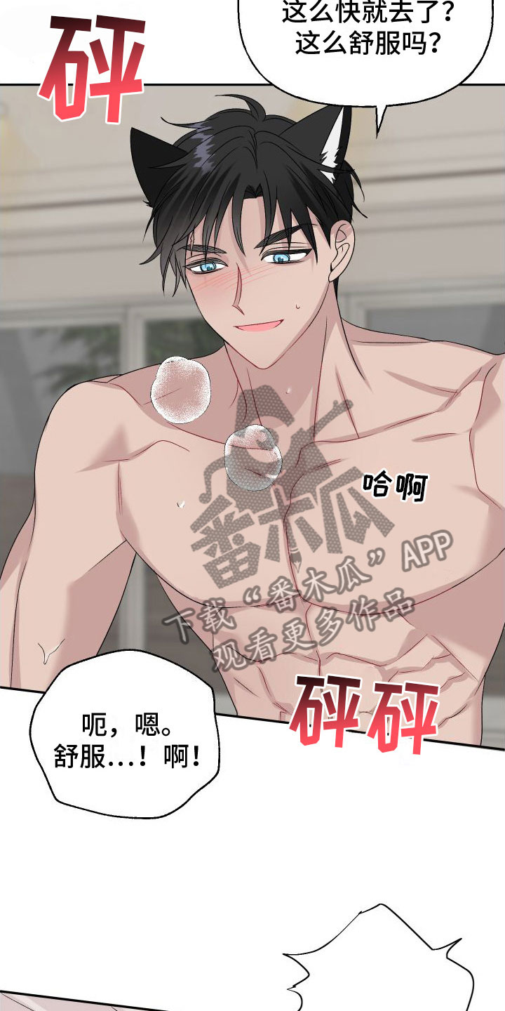 第34章：订婚骗局：真的喜欢【完】5