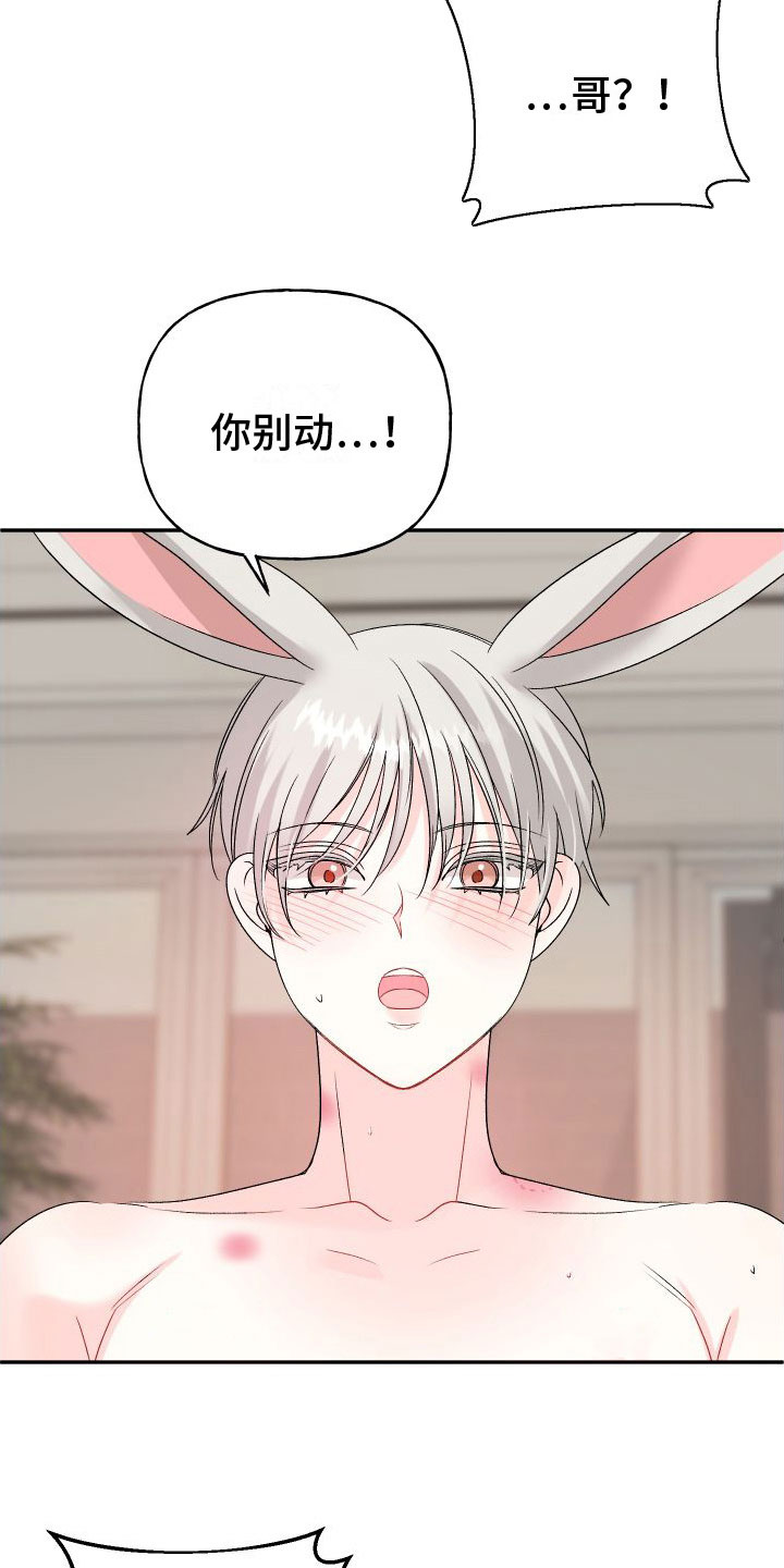 第34章：订婚骗局：真的喜欢【完】9