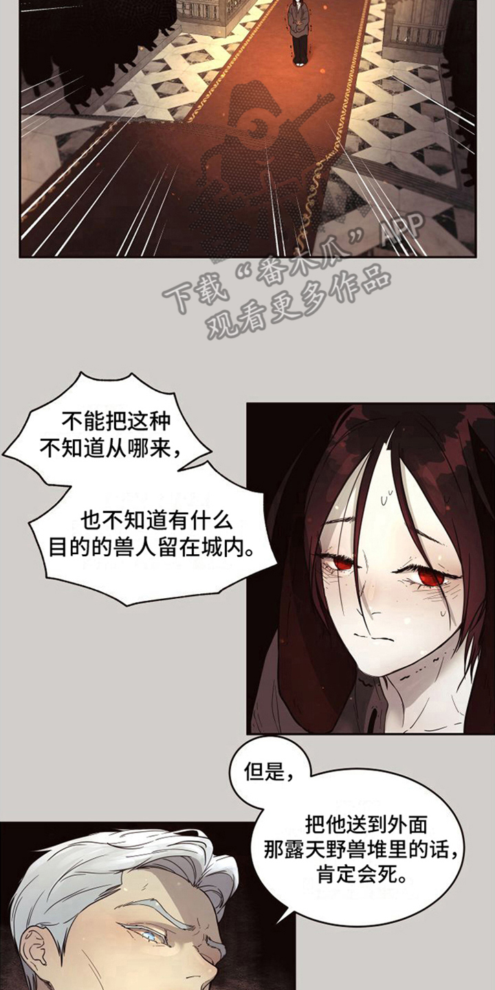第15章：北极兔：雪国13