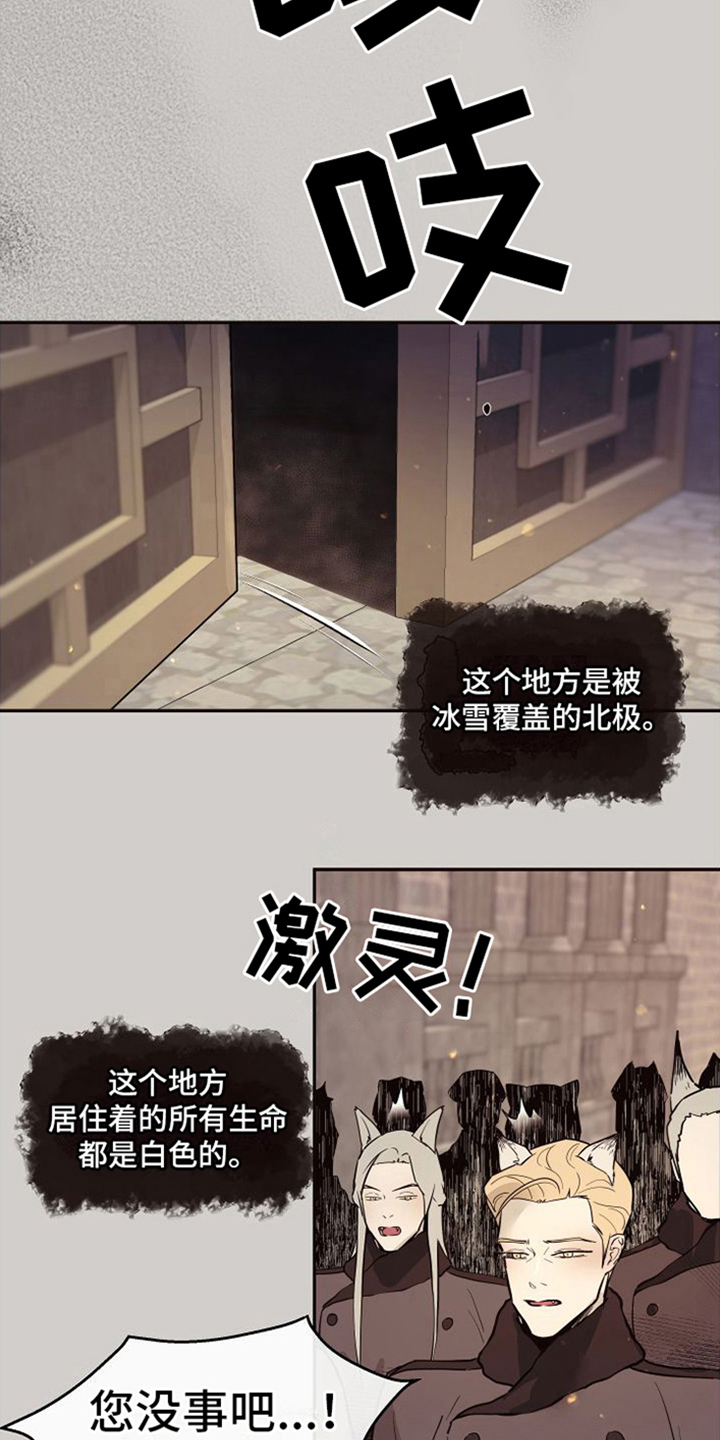 第22章：北极兔：唯一的黑色（完）10