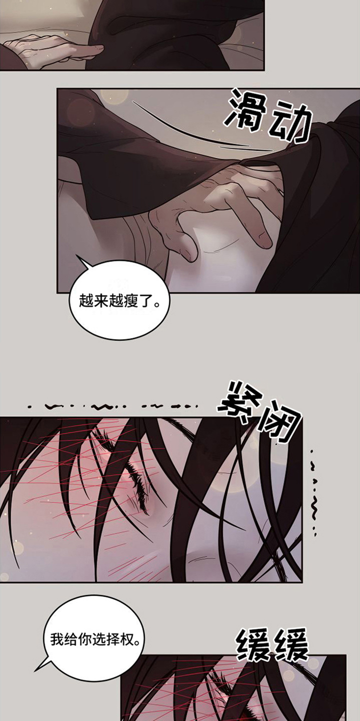 第18章：北极兔：选择权8