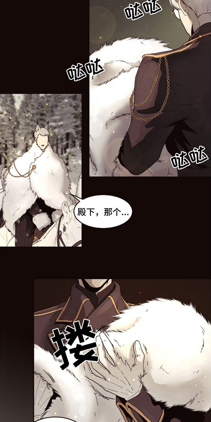 第16章：北极兔：支配者11