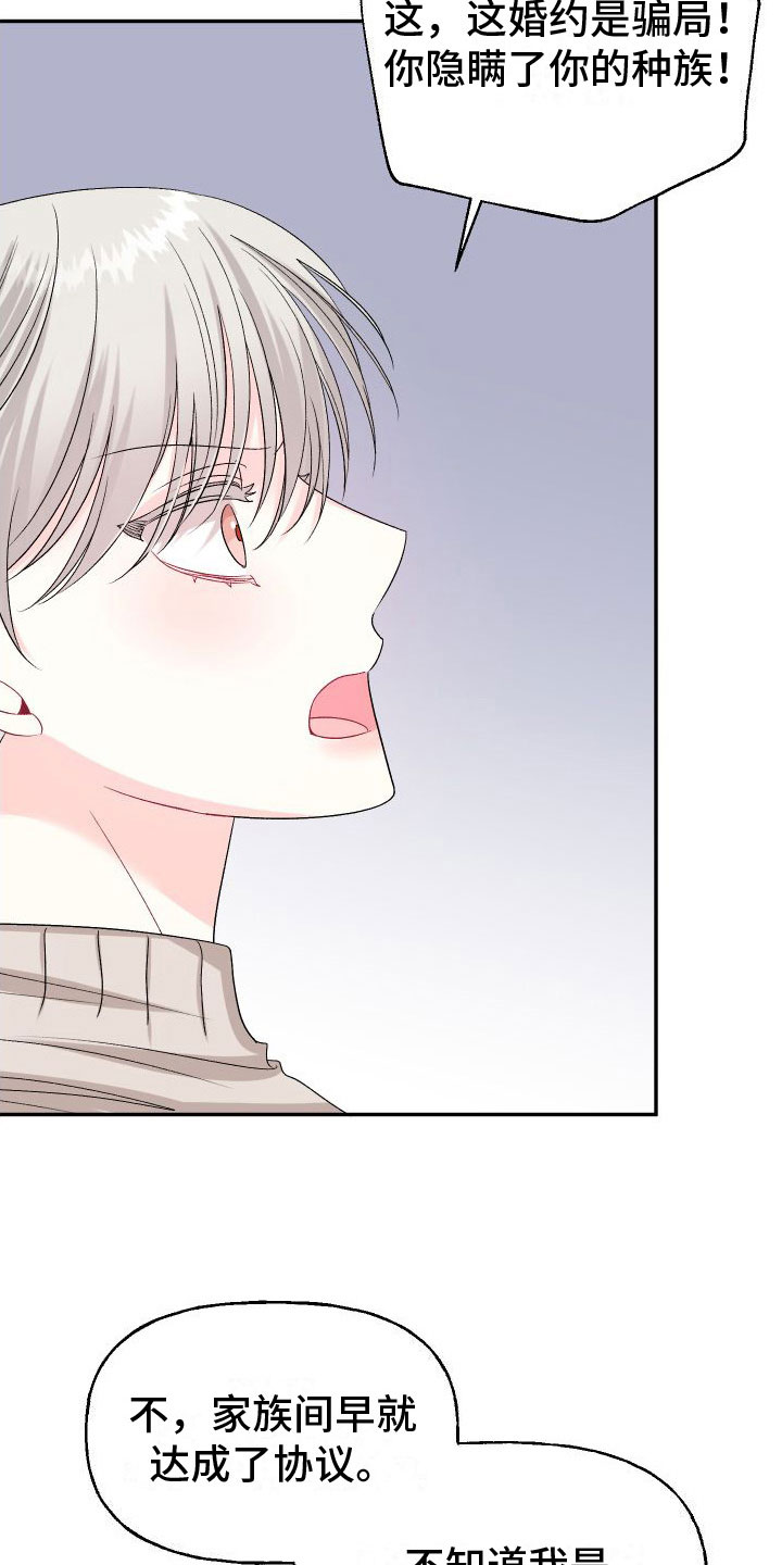 第28章：订婚骗局：满足我16