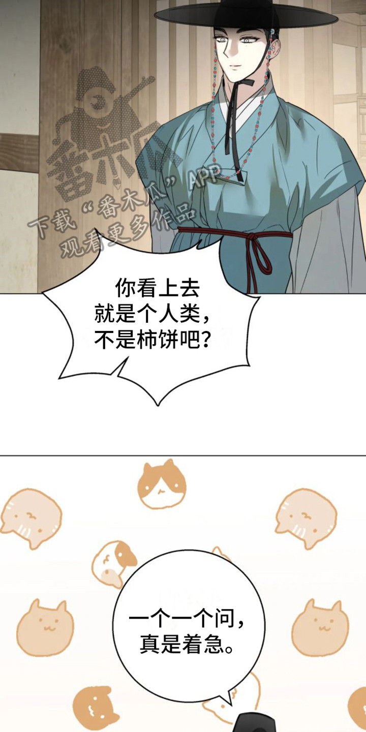 第39章：乱入的老虎：好奇13