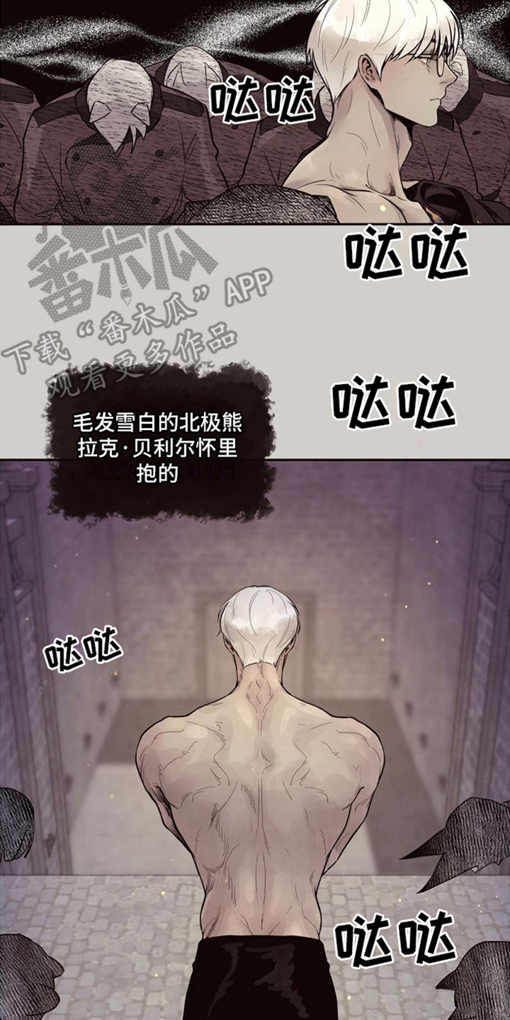 第22章：北极兔：唯一的黑色（完）12