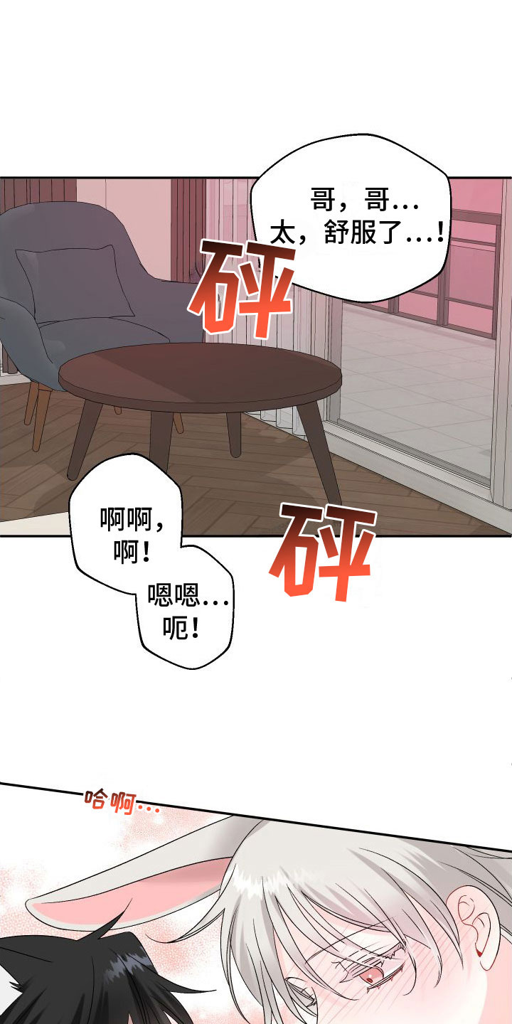 第34章：订婚骗局：真的喜欢【完】12