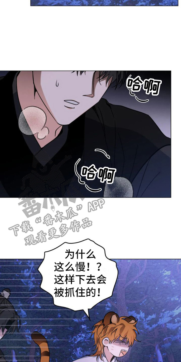 第44章：乱入的老虎：受伤了13