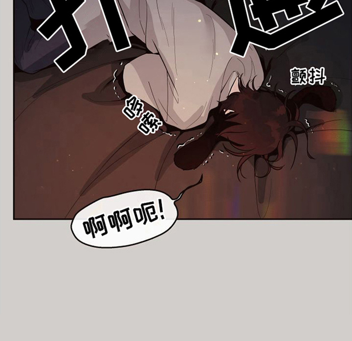 第19章：北极兔：忙碌14