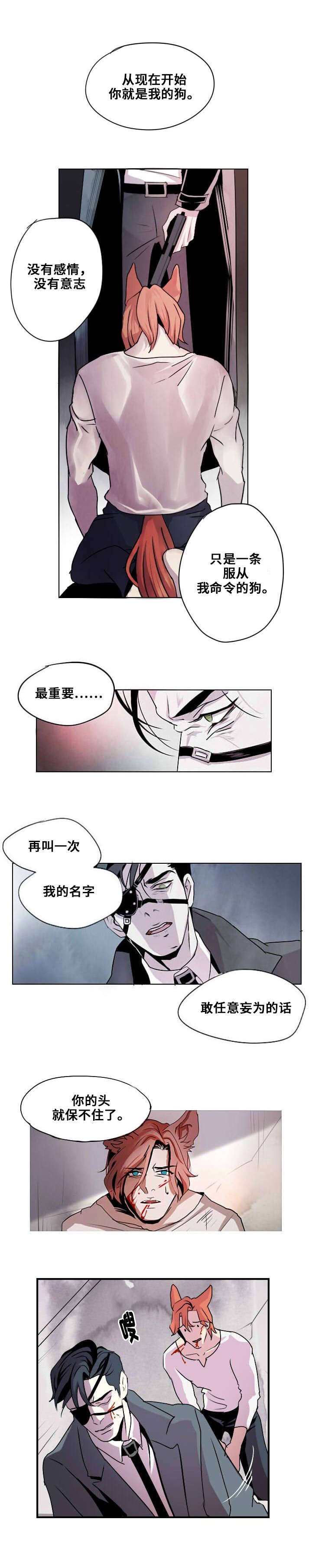 第1章：忠诚的盾12