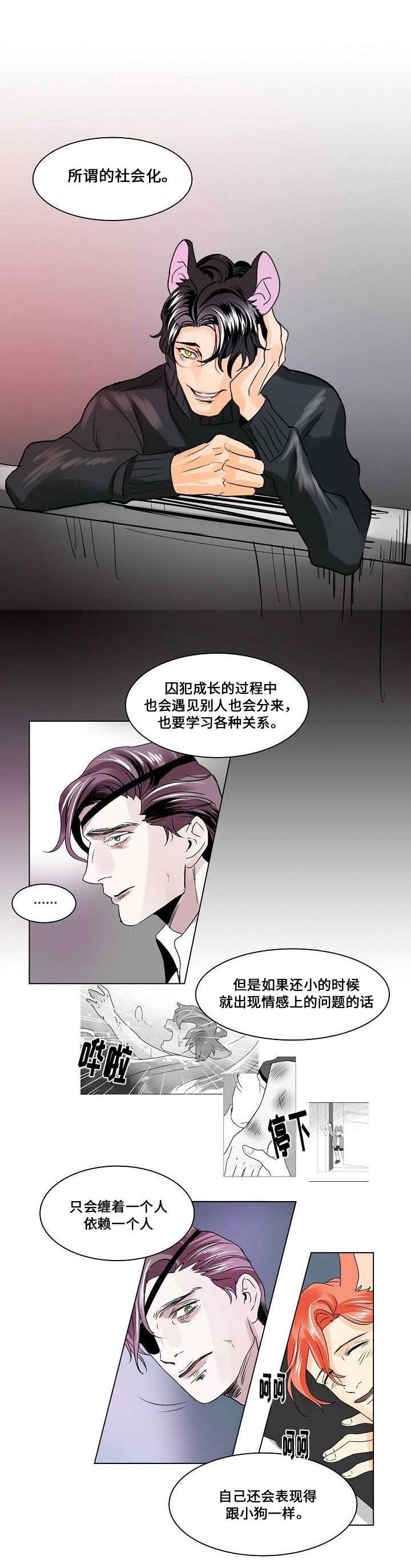 第22章：社会化11