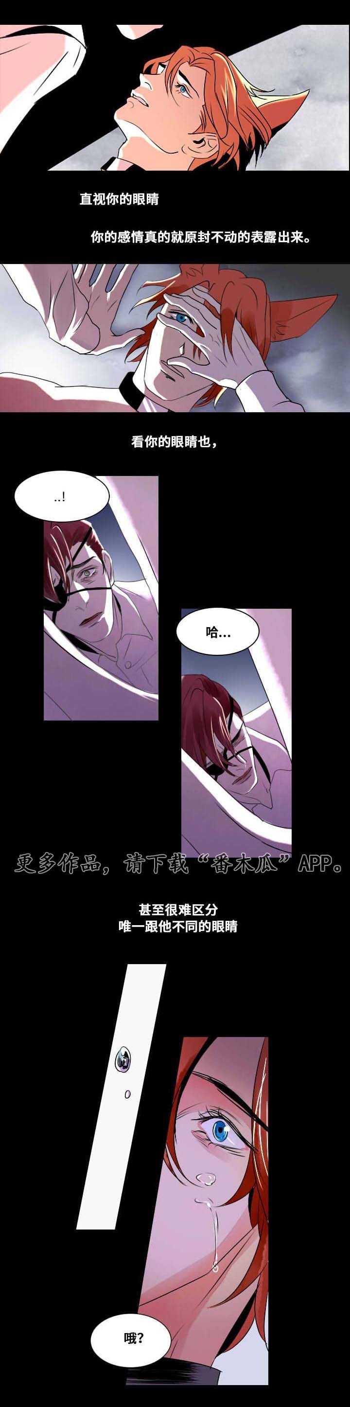 第7章：相像之人12