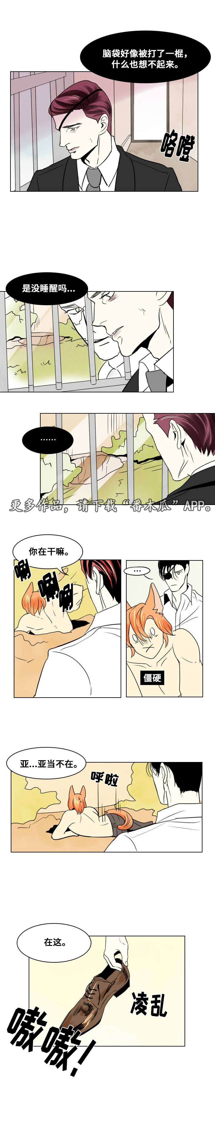 第17章：留下10