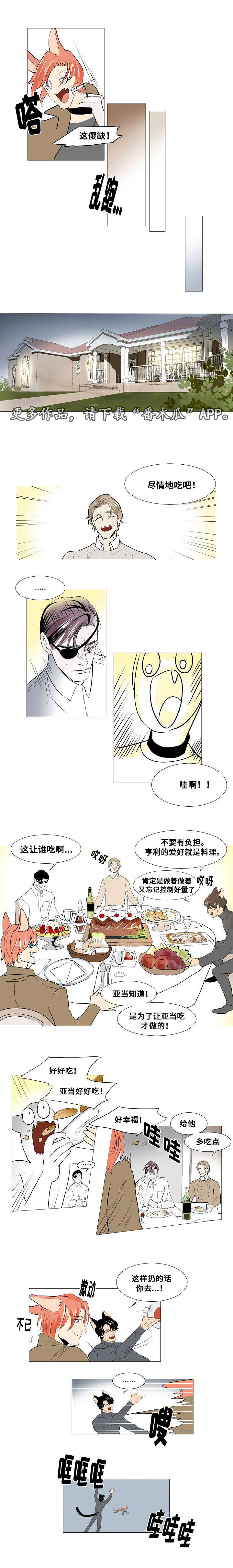 第21章：组织的往事2