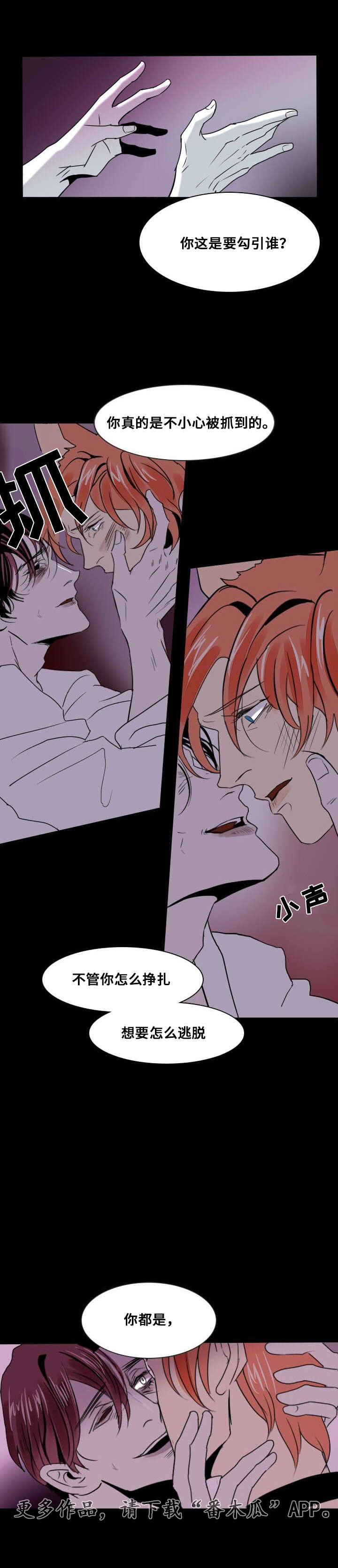 第17章：留下5