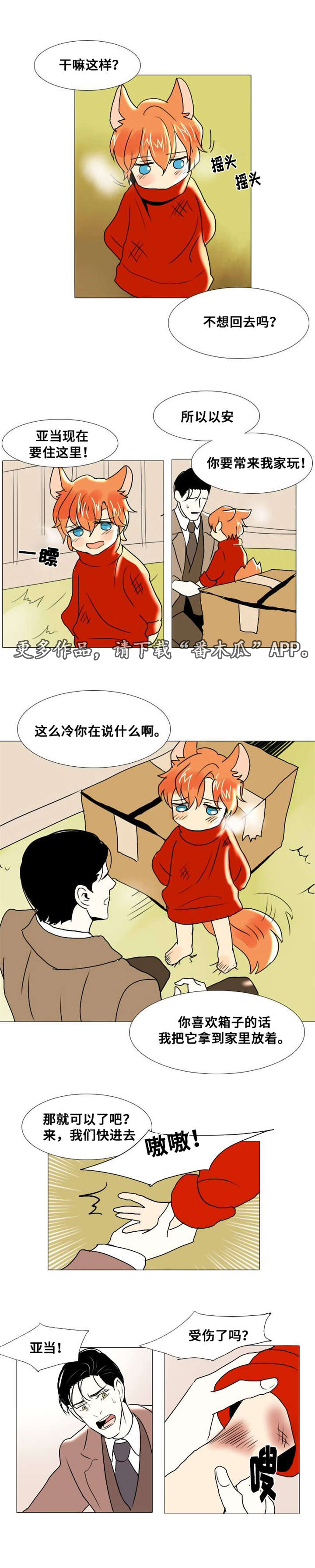 第12章：谎言4