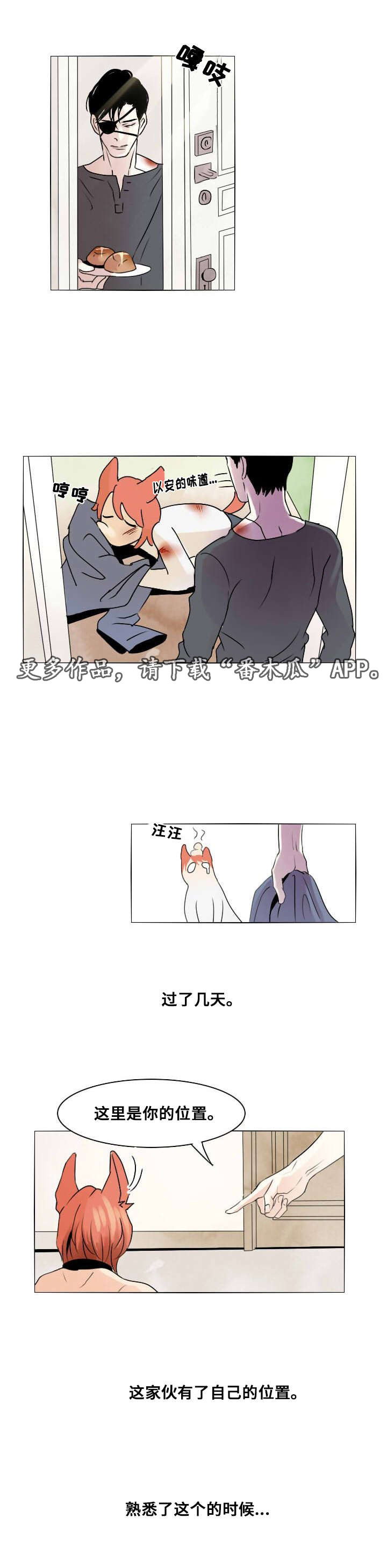 第6章：默许6