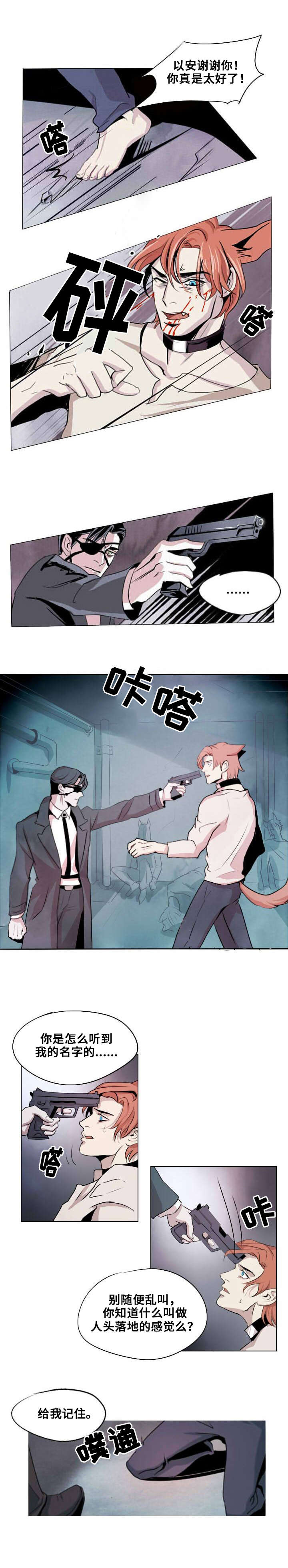 第1章：忠诚的盾11