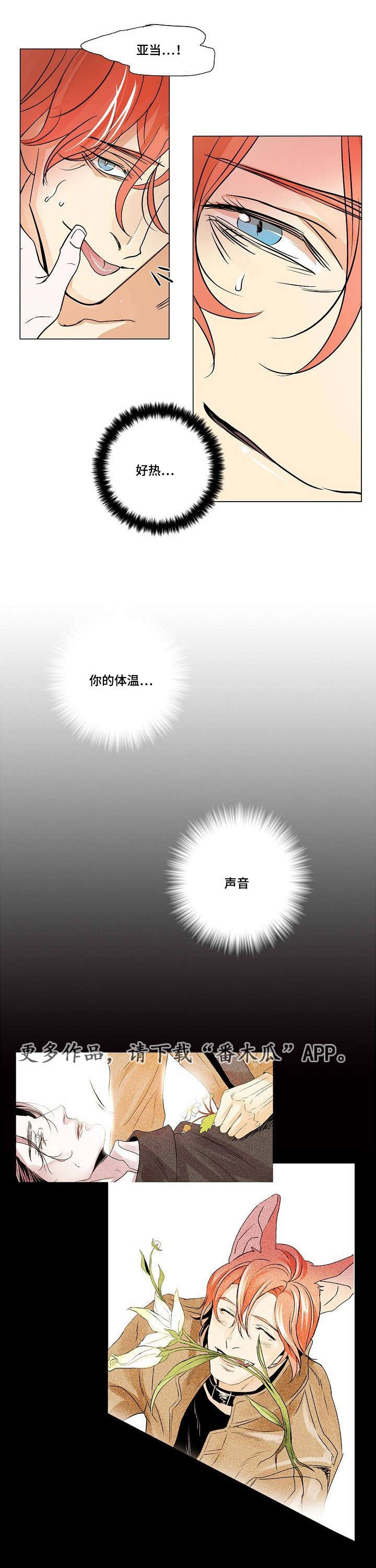 第29章：残存的火种7