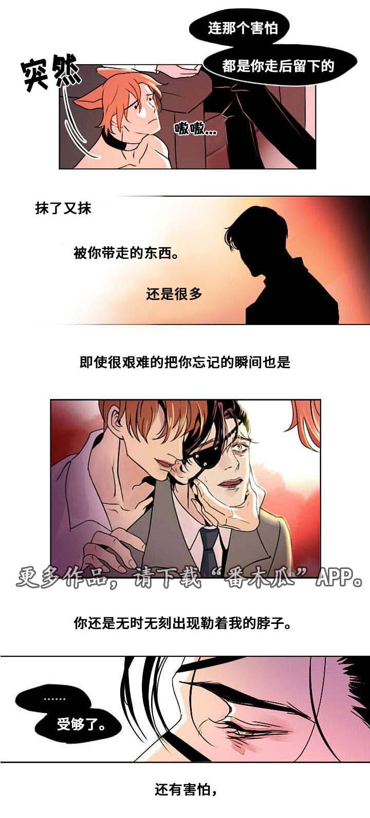 第7章：相像之人9