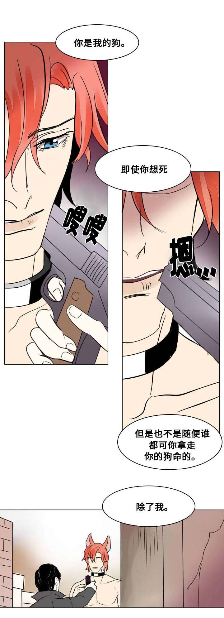 第18章：独自前行2