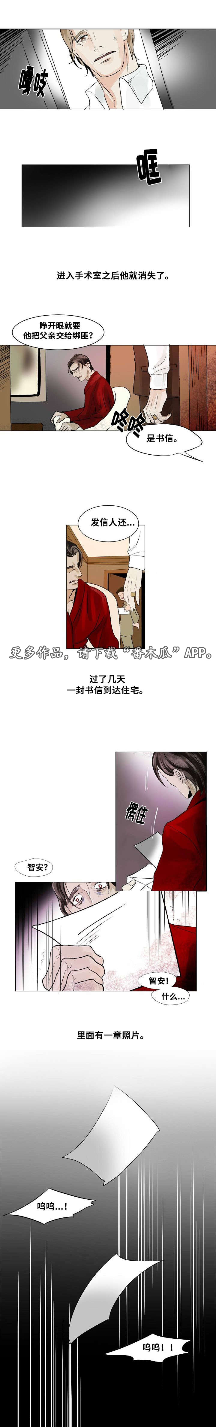 第21章：组织的往事12