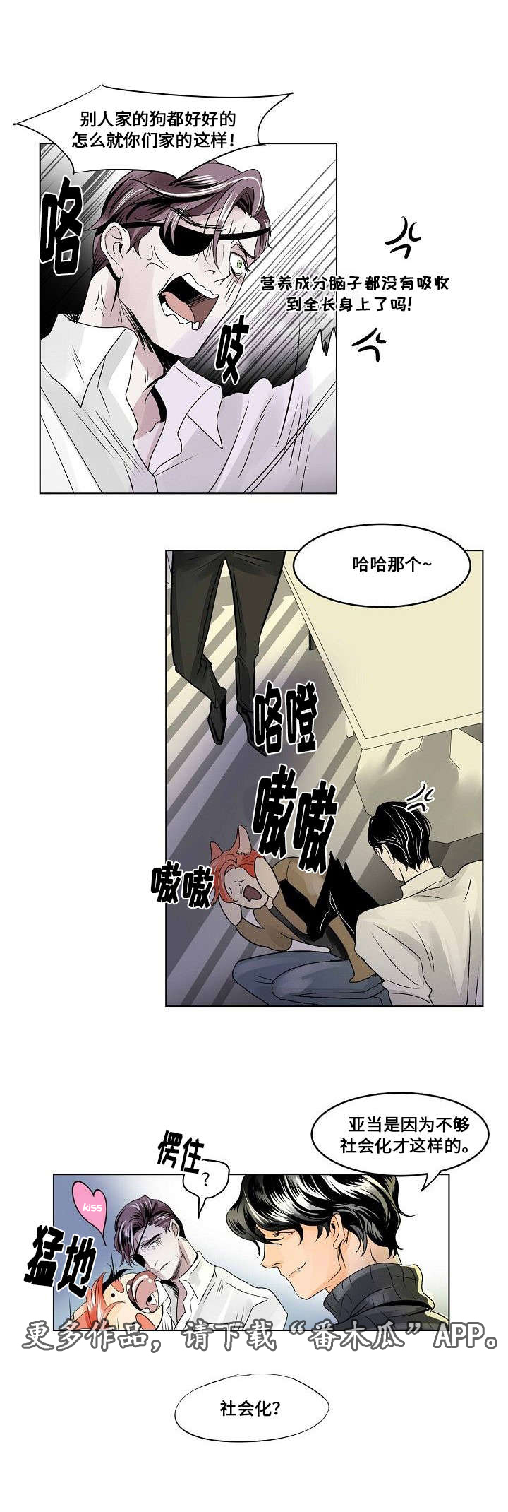 第22章：社会化9