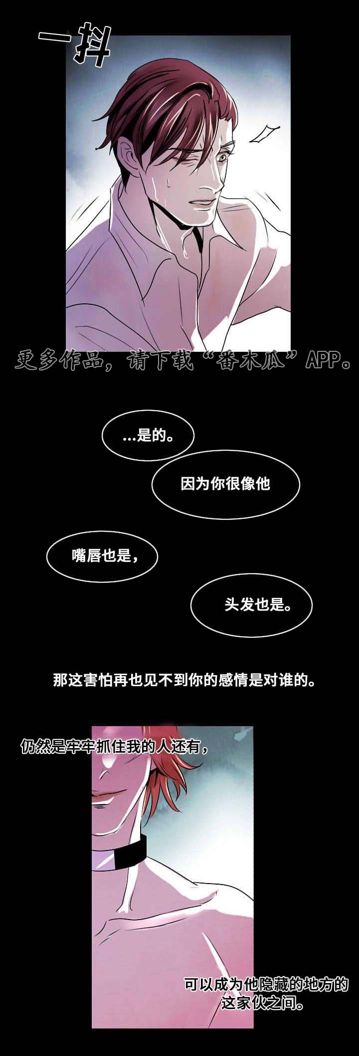 第7章：相像之人14