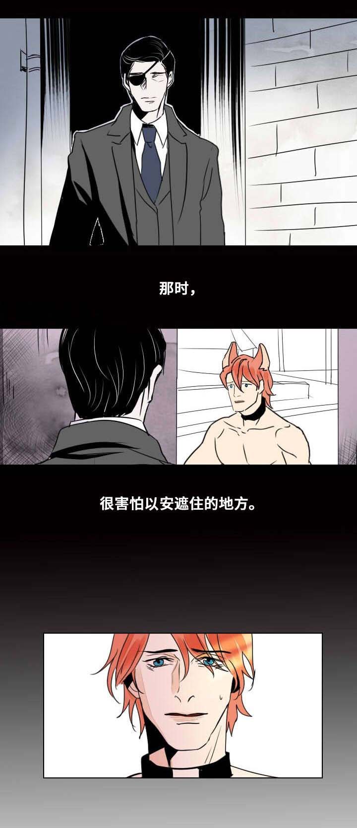 第18章：独自前行11