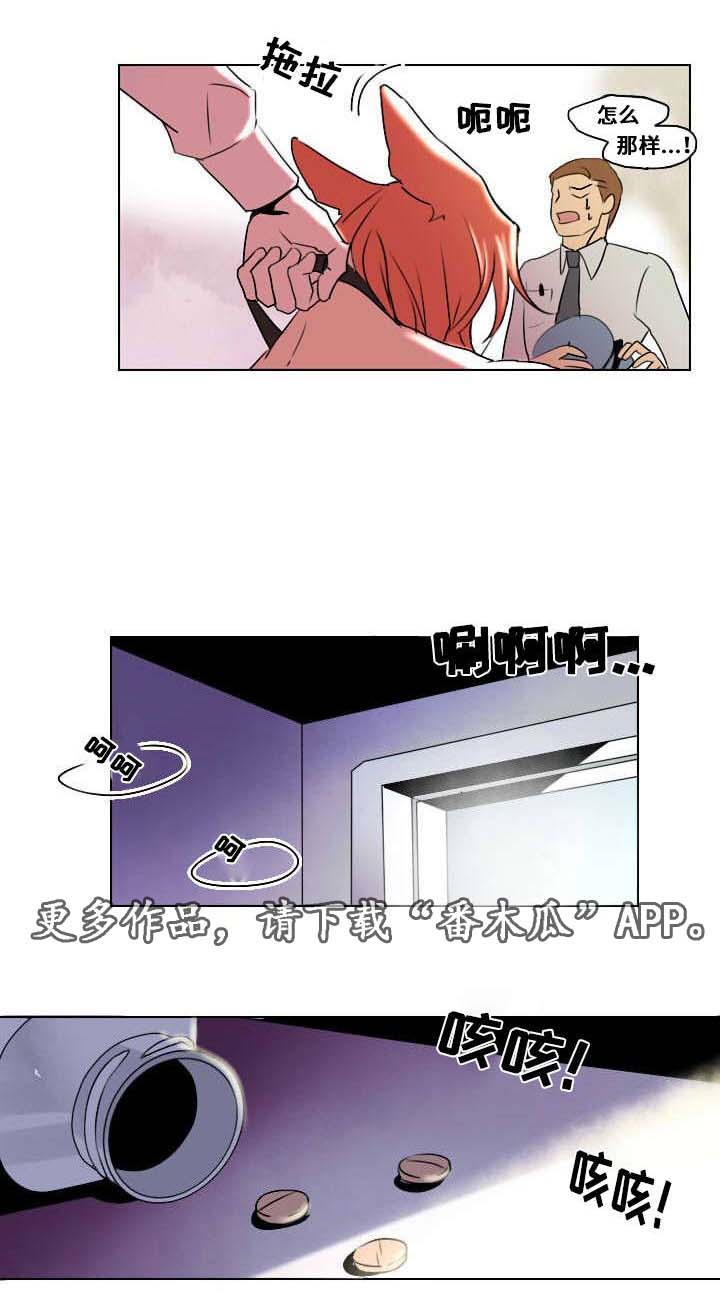 第7章：相像之人2