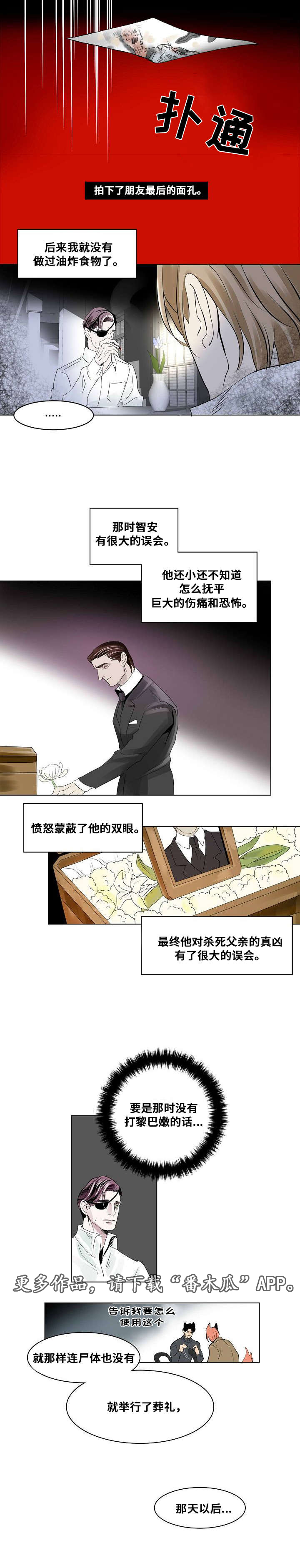 第21章：组织的往事13