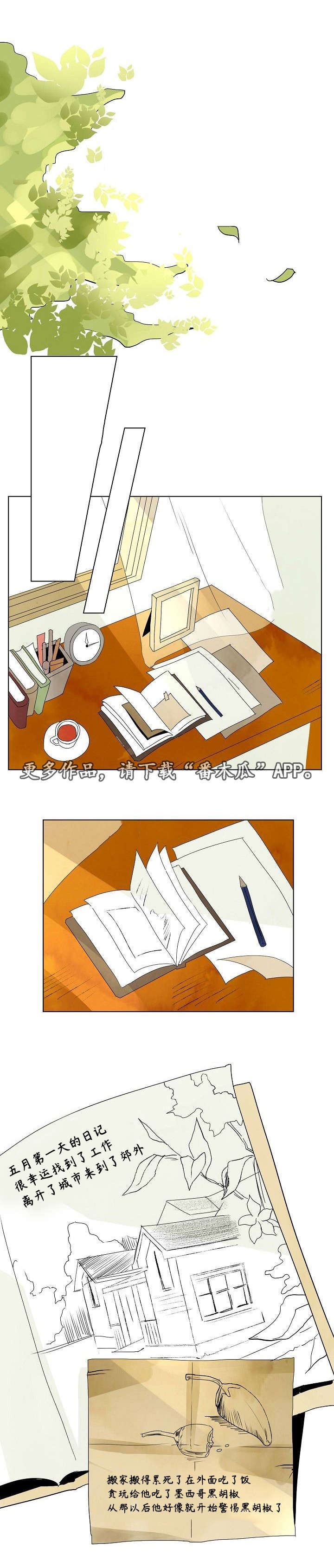 第34章：日记4