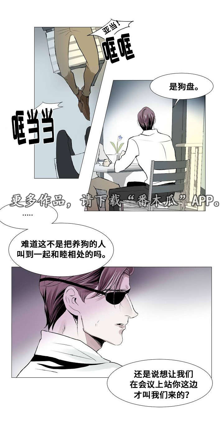 第21章：组织的往事3