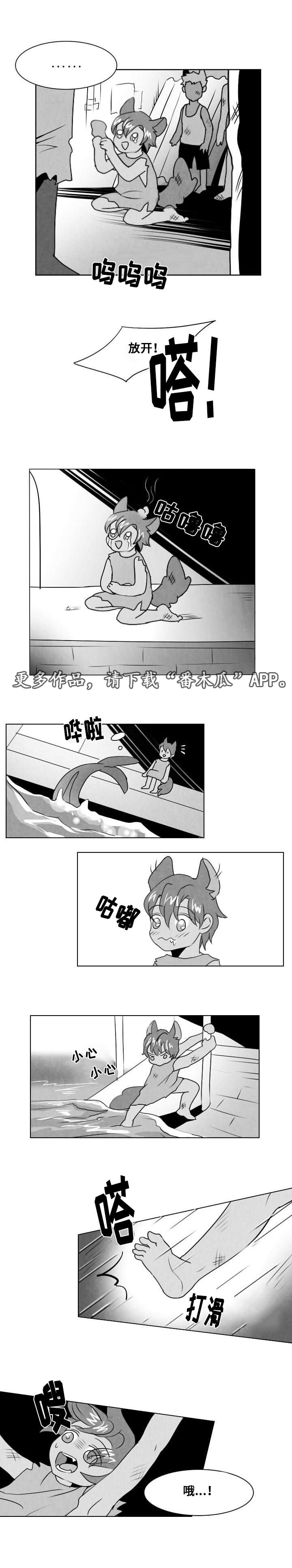 第12章：谎言12