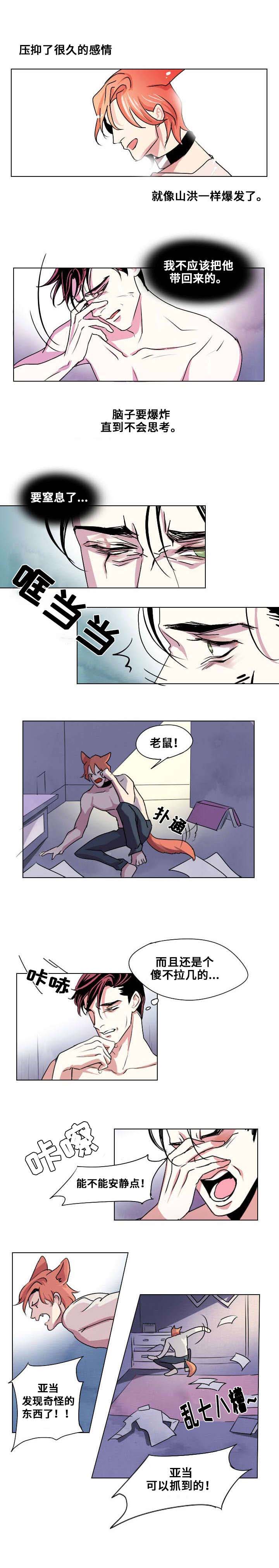 第2章：你是我的狗4