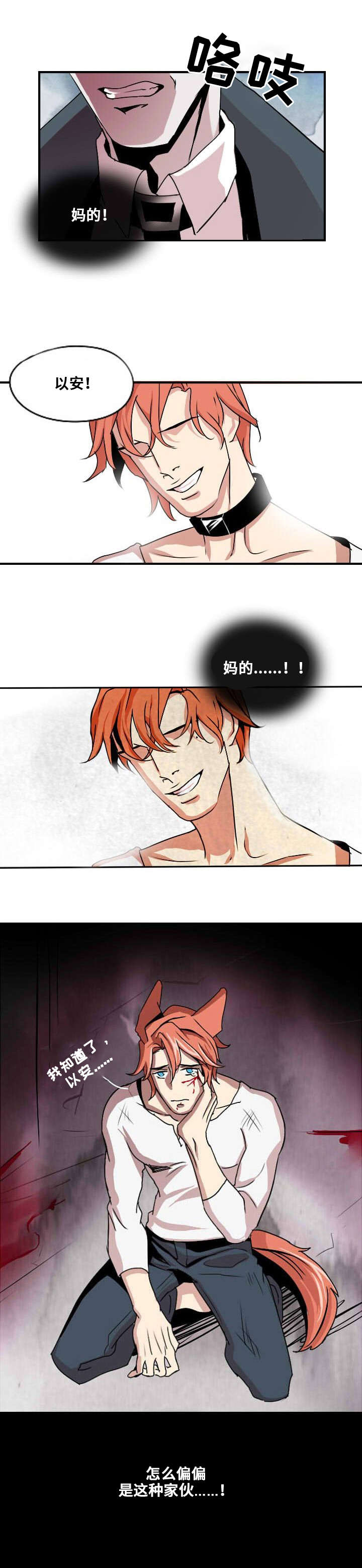 第1章：忠诚的盾13