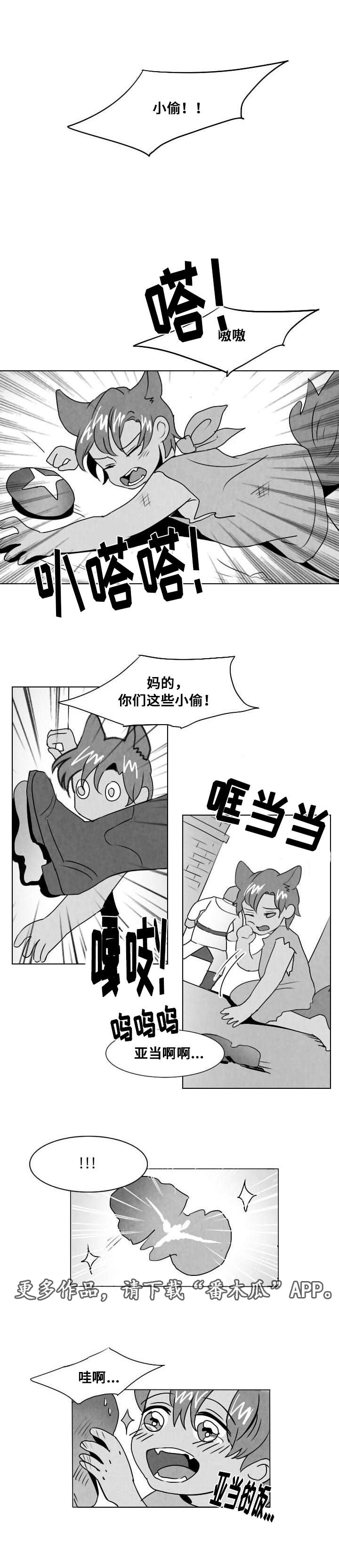第12章：谎言11