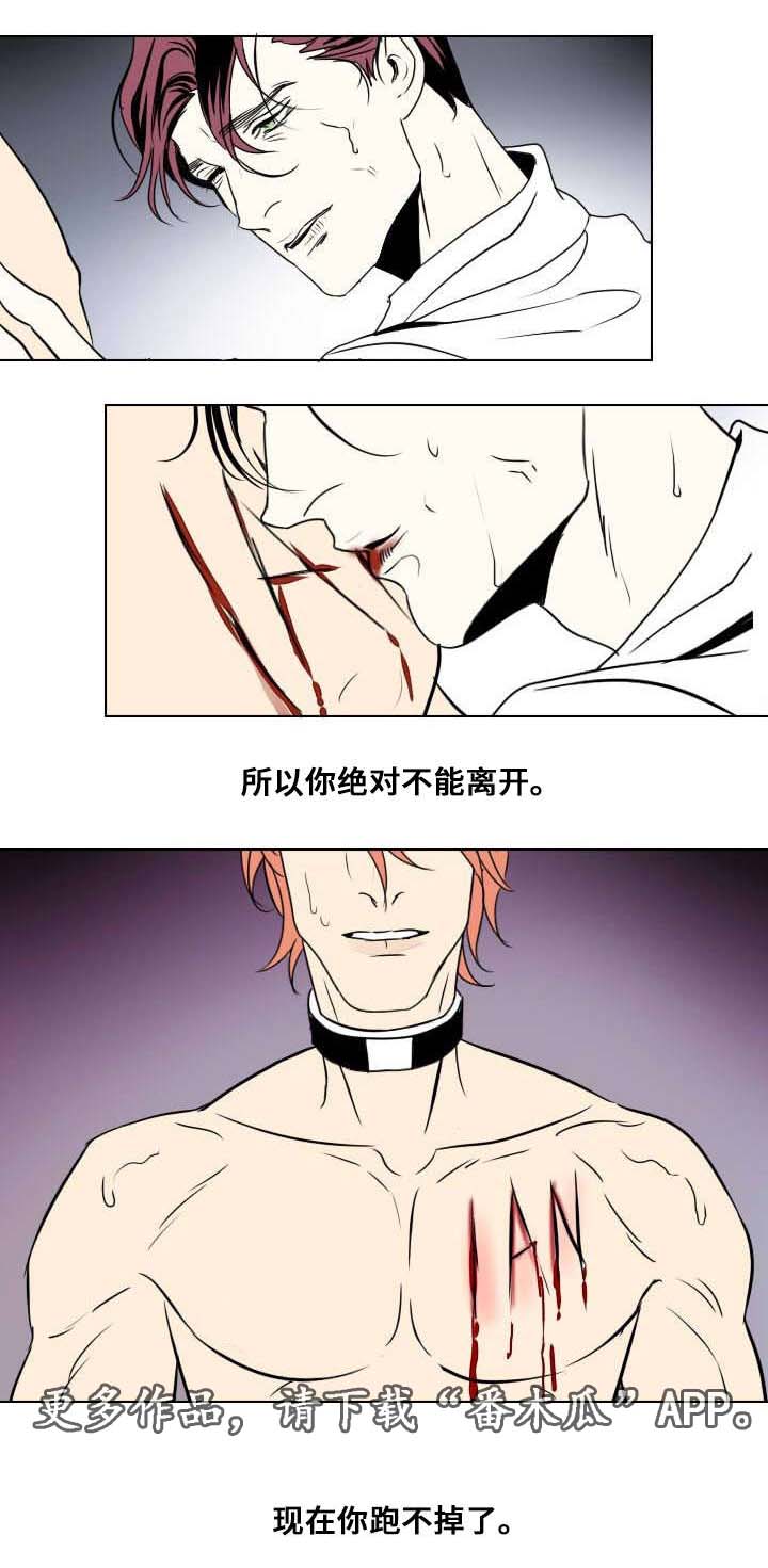 第20章：以安的刻印4