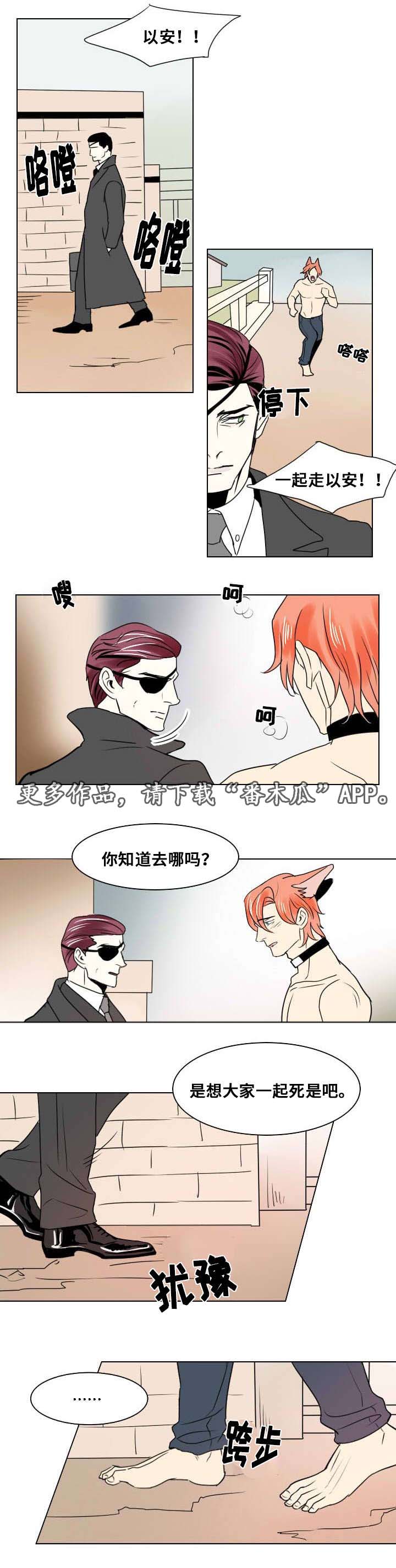 第18章：独自前行0