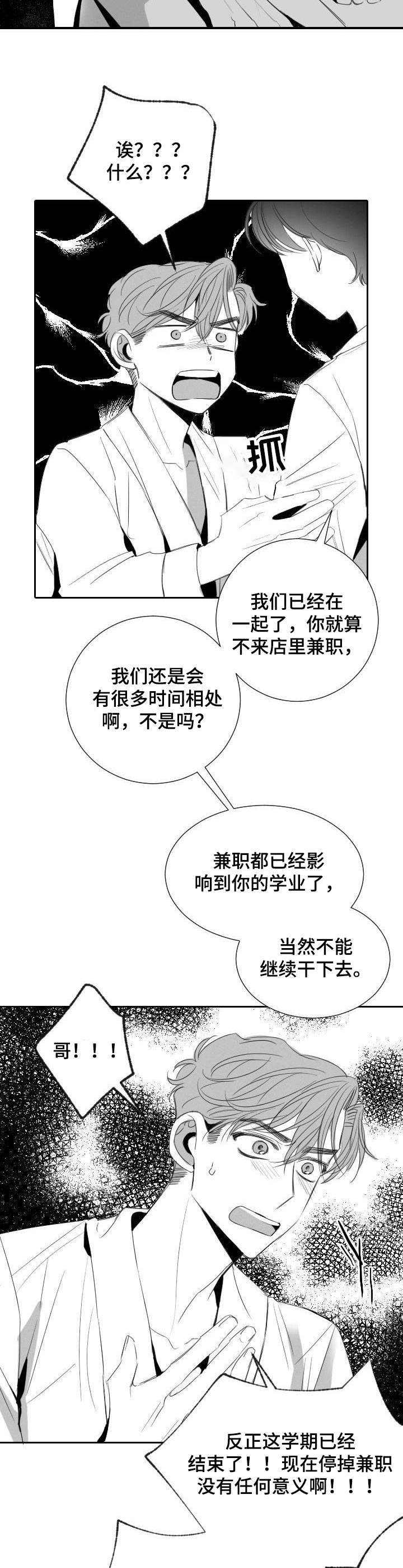 第31章：分歧6