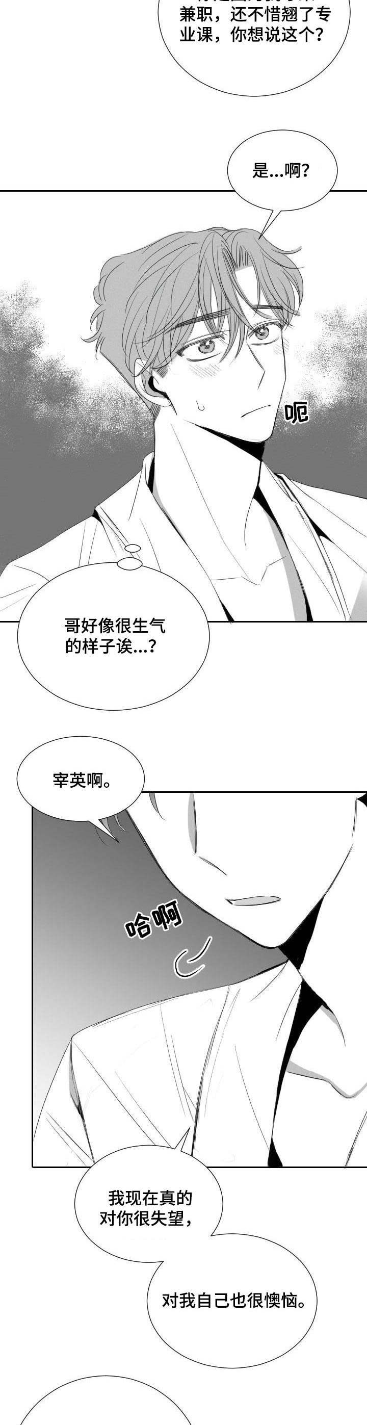 第31章：分歧2