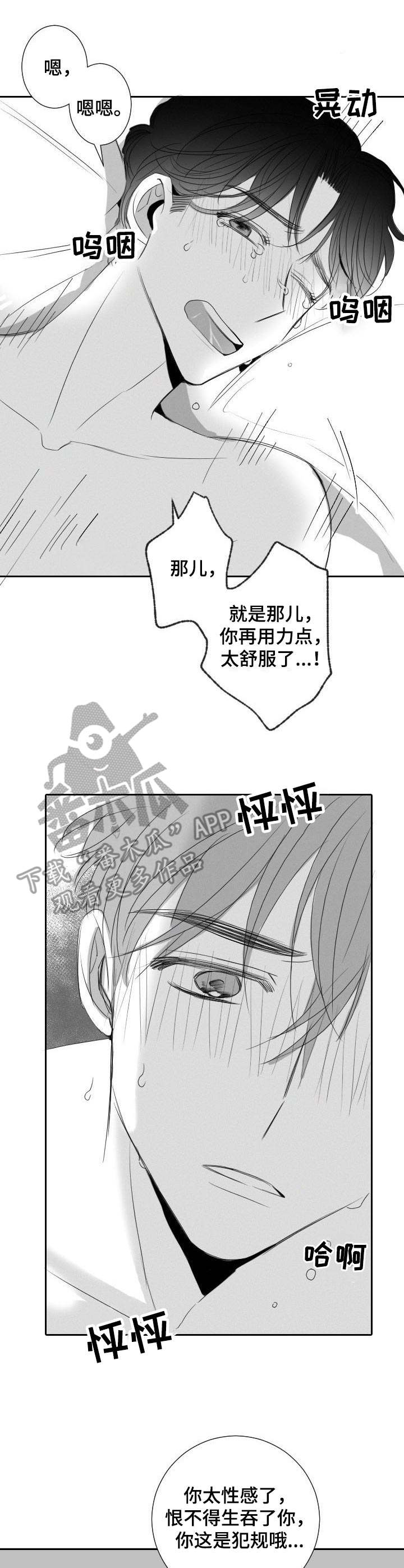 第29章：不用克制12